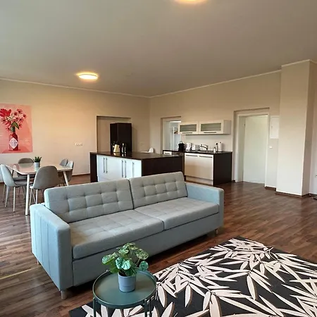 Appartement Grand - Perfekt Fuer 6! Kueche Parken Wlan *